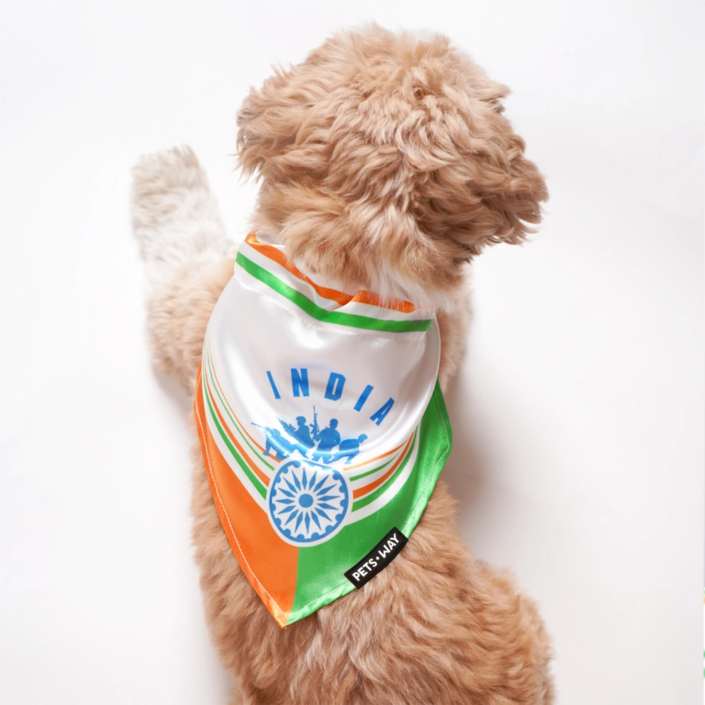 Pets Way Republic Day Bandana for Dogs