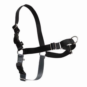 PetSafe Easy Walk Harness with Lead