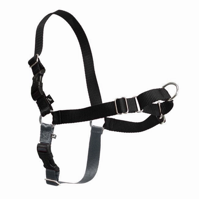 PetSafe Easy Walk Harness with Lead