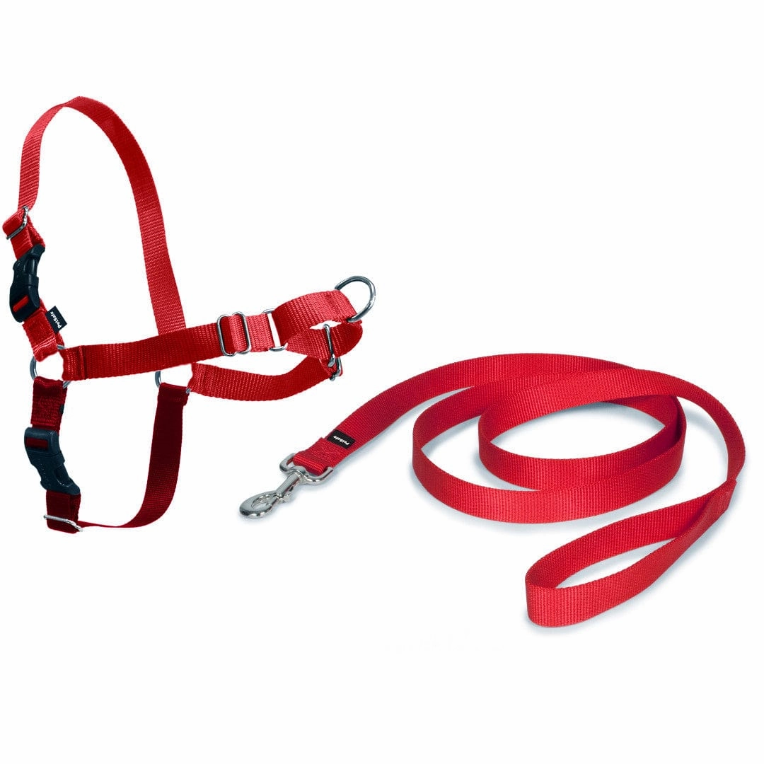 PetSafe Easy Walk Harness with Lead