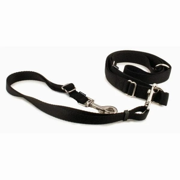 PetSafe Hands-Free Leash