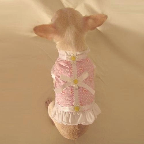 Pink Delicate Daisy Dog Harness Vest Set
