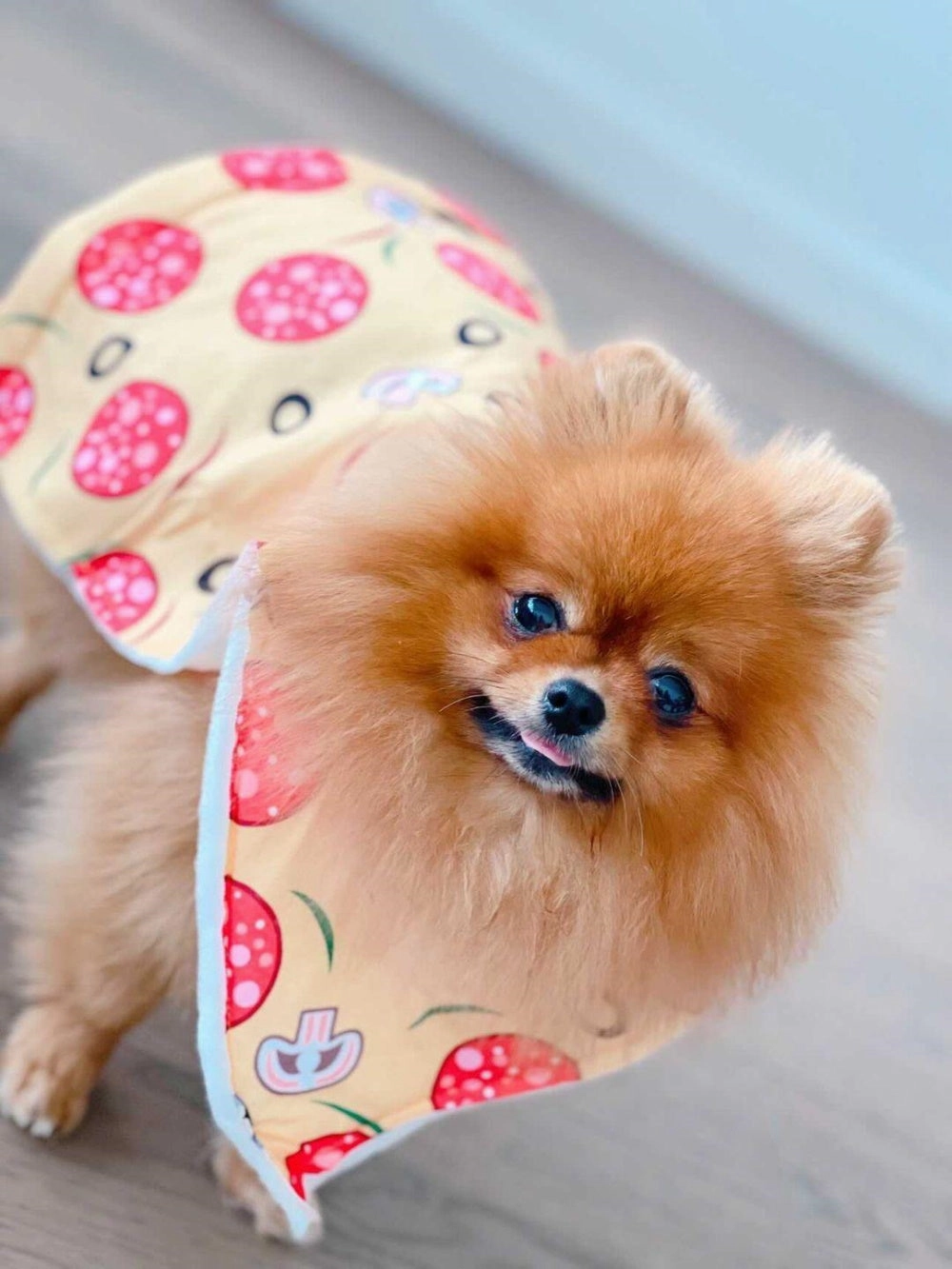 Pizza Slice Dog Costume