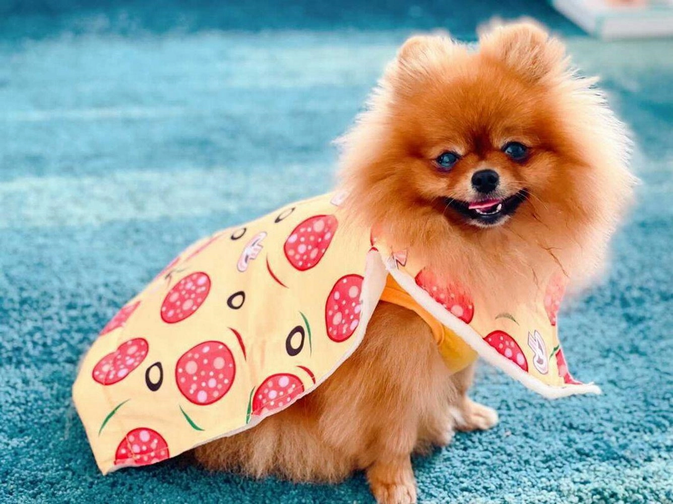 Pizza Slice Dog Costume