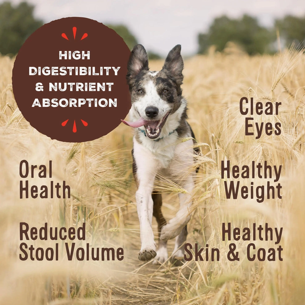 Primal Freeze Dried Nuggets Grain Free Pork Formula Complete Diet Dog Food