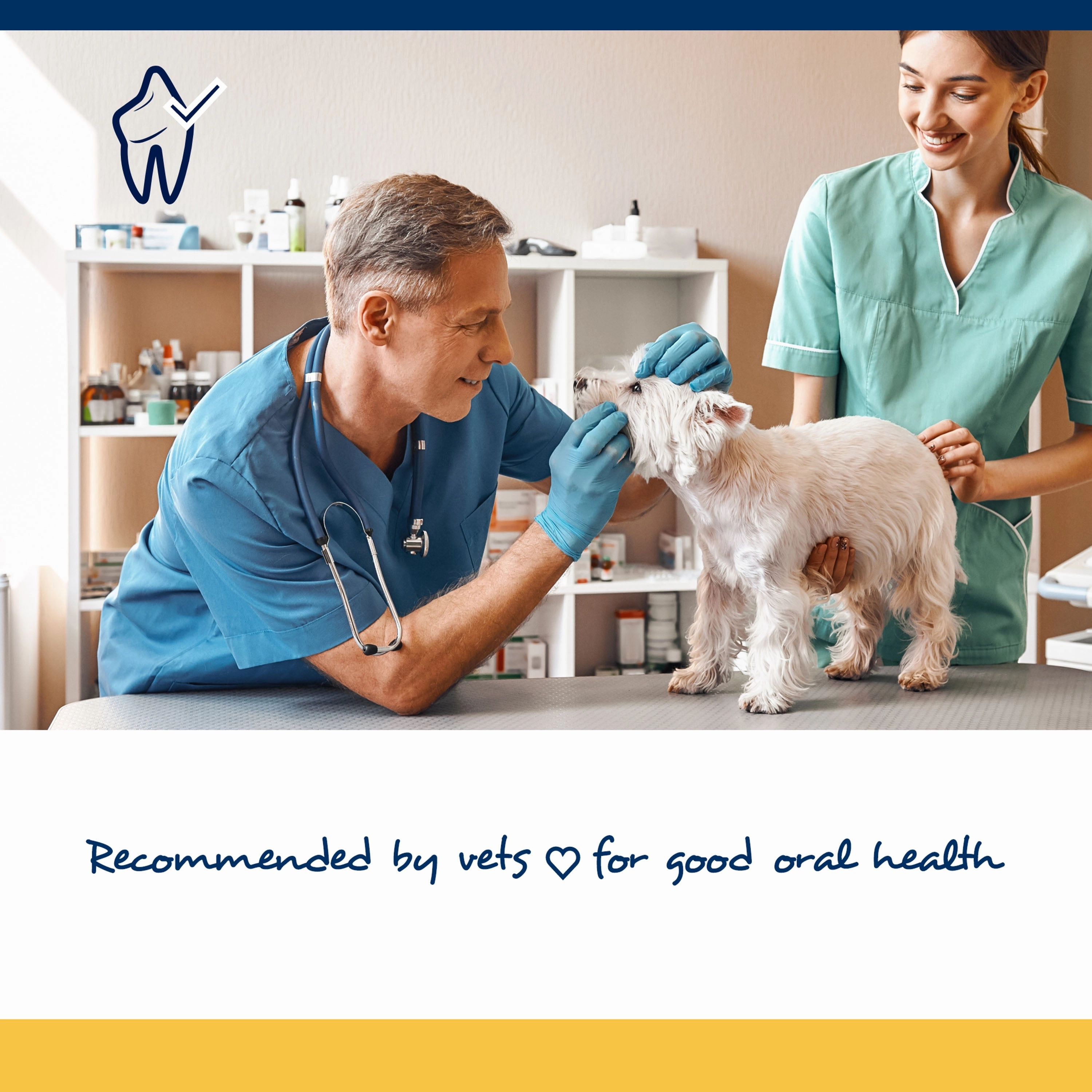 ProDen PlaqueOff Soft Chews For Small and Medium Breed Dogs
