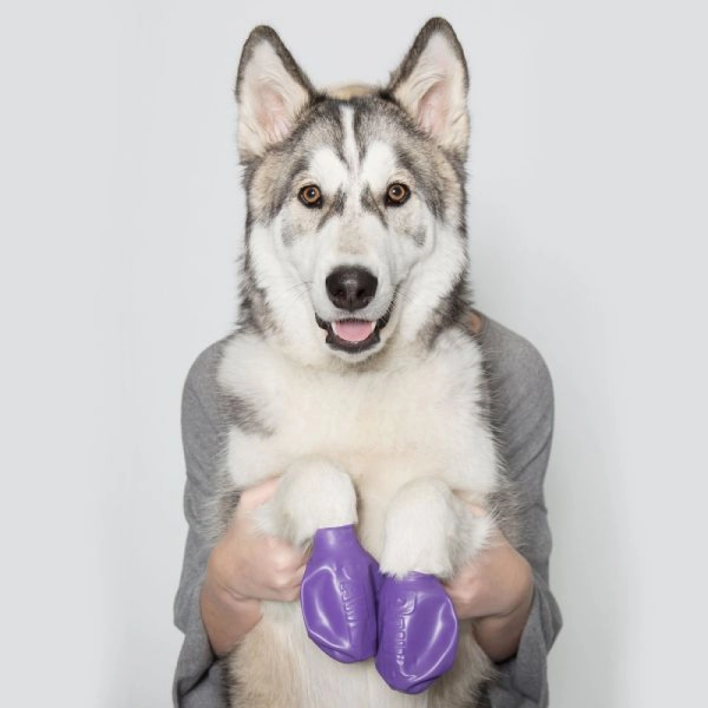 Protex PawZ Boots for Dogs (Purple)