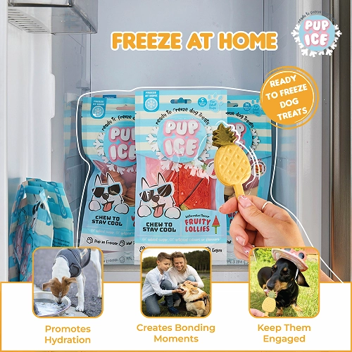 Pup Ice Pineapples Flavoured Fruity Lollies Dog Treat