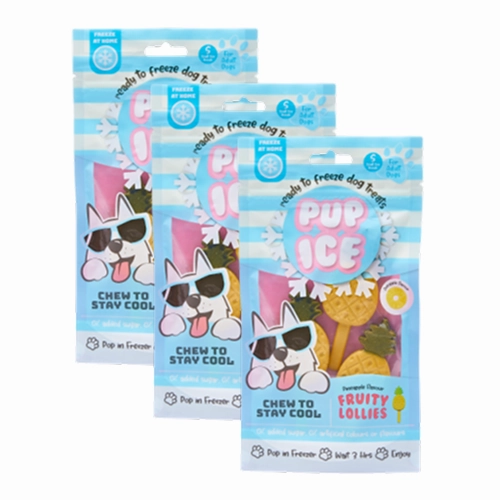 Pup Ice Pineapples Flavoured Fruity Lollies Dog Treat