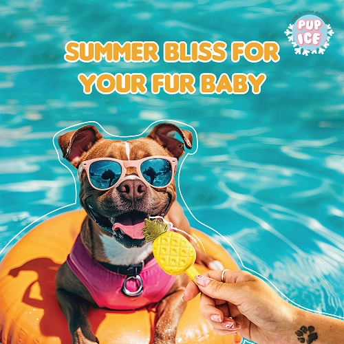 Pup Ice Pineapples Flavoured Fruity Lollies Dog Treat