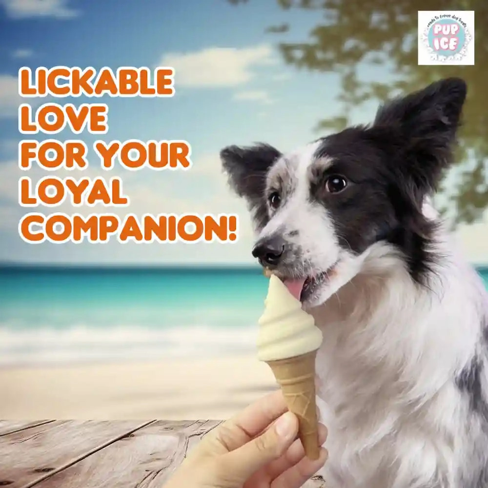 Pup Ice Vanilla and Peanut Butter Flavoured Waffle Cones Dog Treat