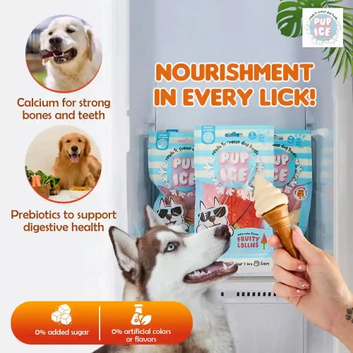 Pup Ice Vanilla and Peanut Butter Flavoured Waffle Cones Dog Treat