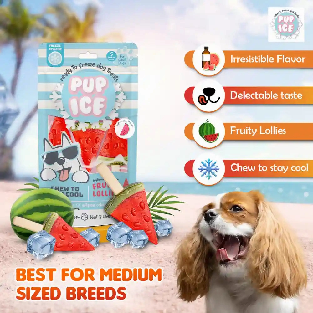 Pup Ice Watermelon Flavoured Fruity Lollies Dog Treat