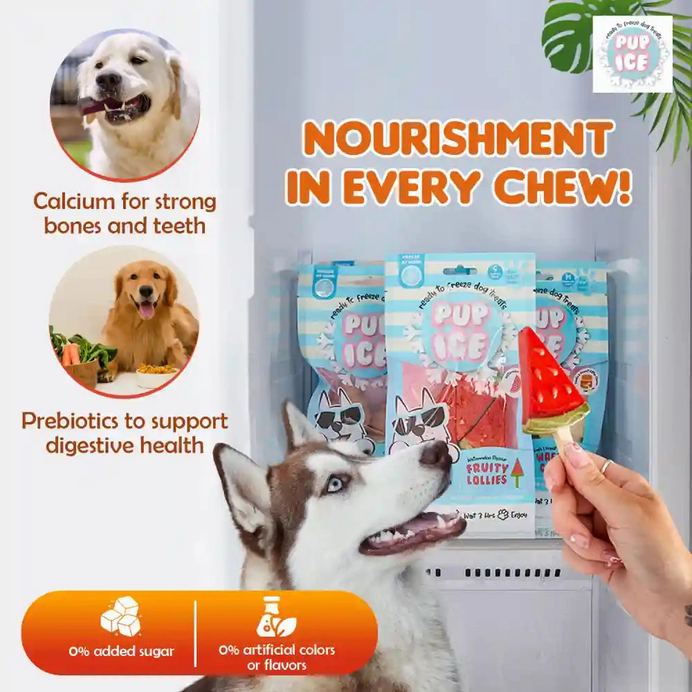 Pup Ice Watermelon Flavoured Fruity Lollies Dog Treat