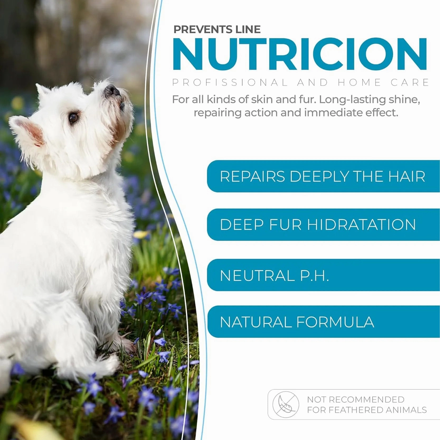 Pureza.Pet - Prevents Line Nutrition Shampoo 300ml