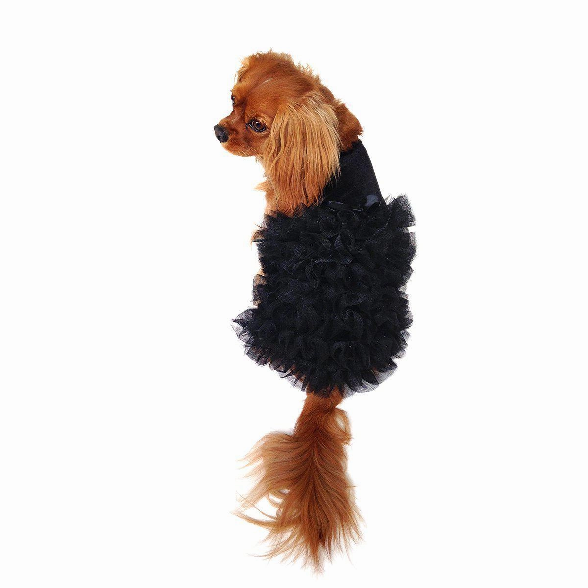 Red Carpet Ruffle Dog Dress Black