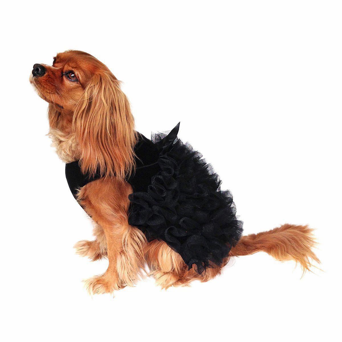 Red Carpet Ruffle Dog Dress Black