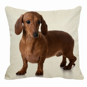 Red Dachshund Throw Cushion
