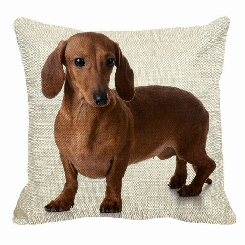 Red Dachshund Throw Cushion