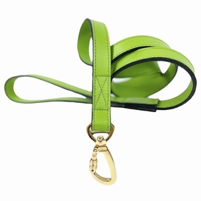 Regency Collection Dog Leash Lime Green