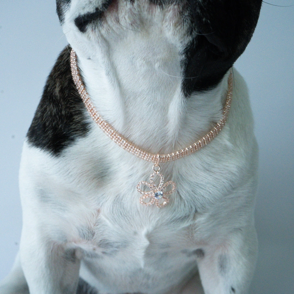 Rose Gold Diamante Flower Dog Necklace