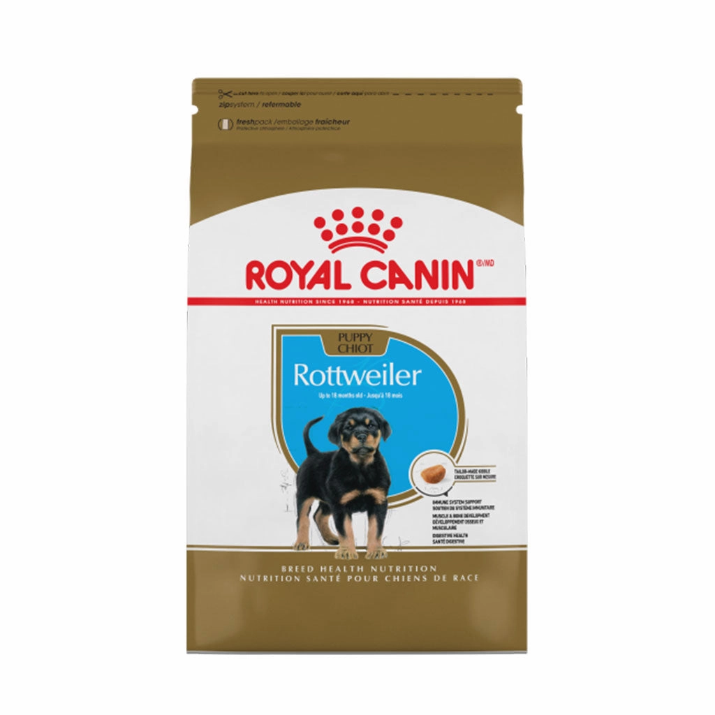 Rottweiler Puppy