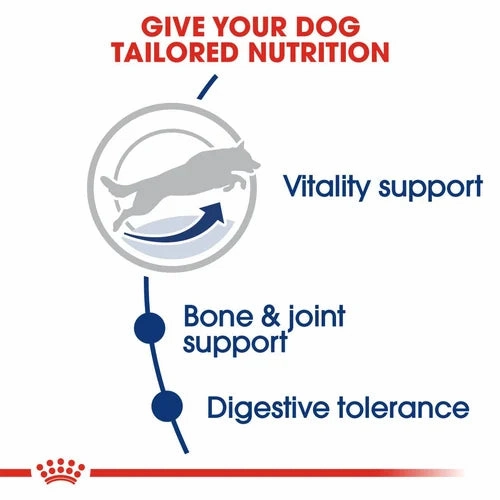 Royal Canin - MAXI Adult 5  Dogs Dry Food 15kg