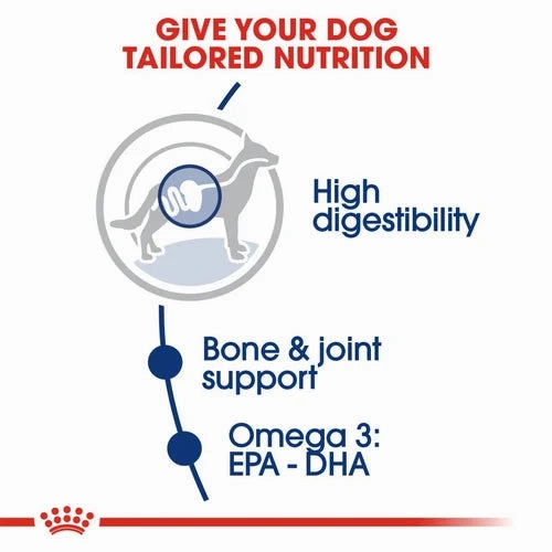Royal Canin - MAXI Adult Dogs Dry Food