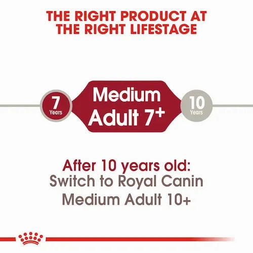 Royal Canin - Medium Adult 7  Dogs Dry Food