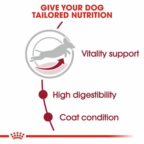 Royal Canin - Medium Adult 7  Dogs Dry Food