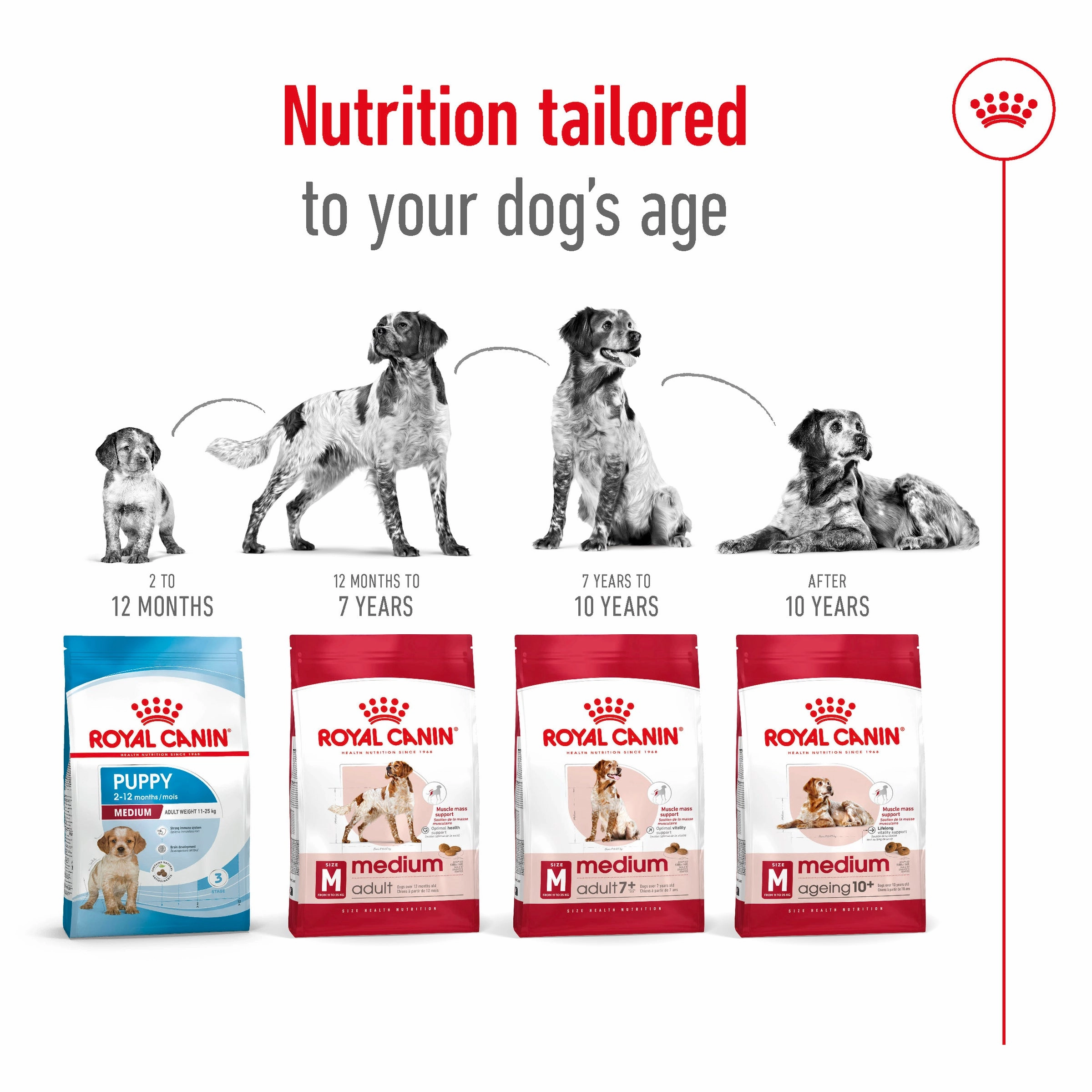 Royal Canin - Medium Adult Dog Dry Food (4kg)