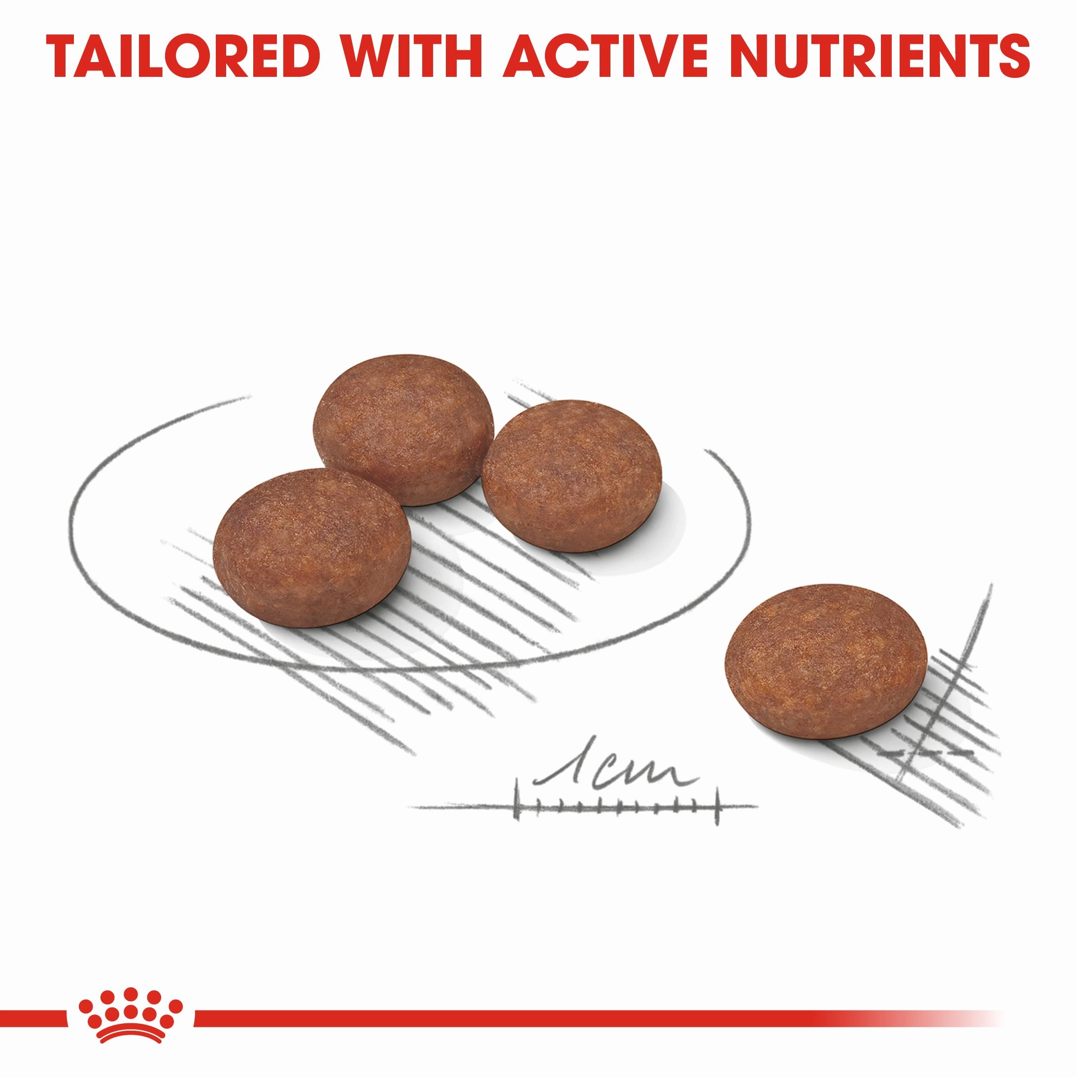 Royal Canin - Mini Adult Digestive Care Dog Dry Food (3kg)