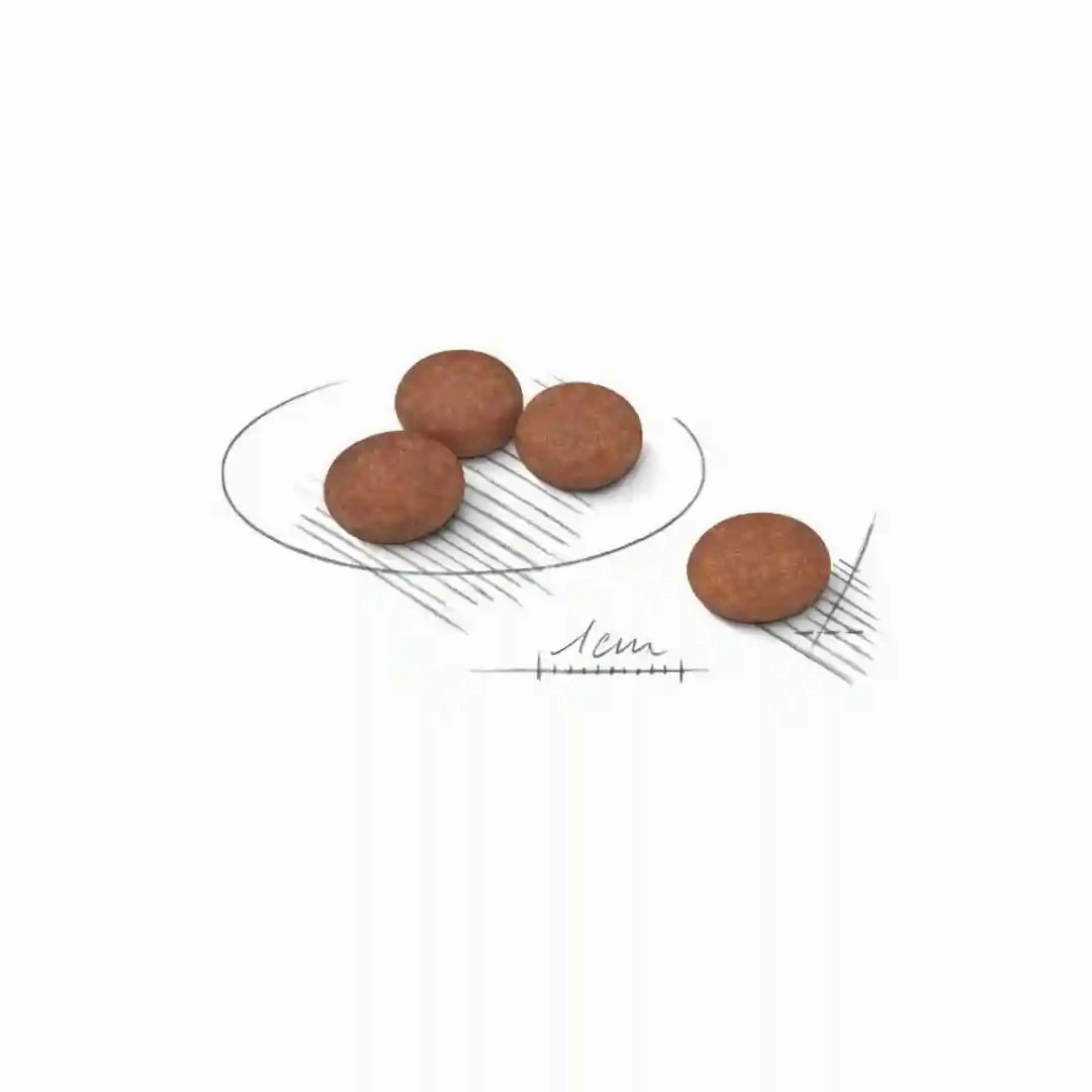 Royal Canin - Mini Digestive Care Dog Dry Food