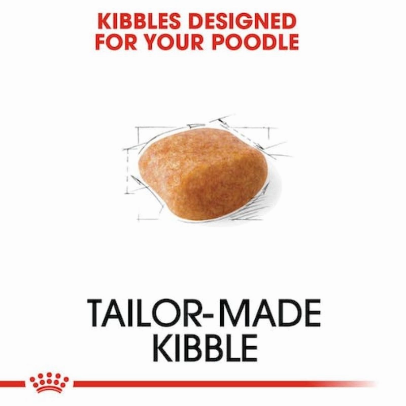 Royal Canin - Poodle Adult Dry Food