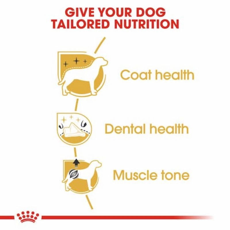 Royal Canin - Poodle Adult Dry Food