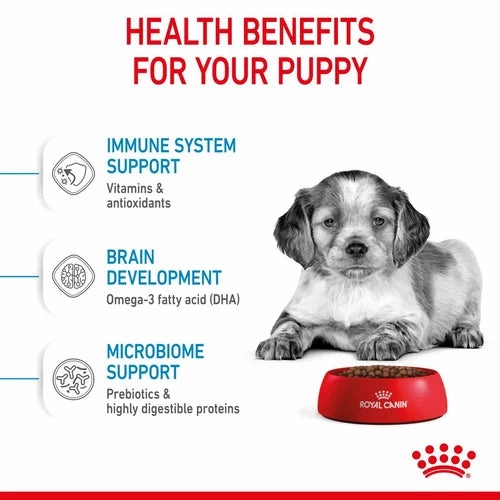 Royal Canin - Puppy Medium Dry Food