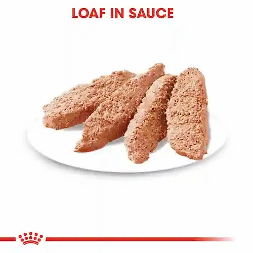 Royal Canin - Urinary Care Dog Loaf Wet Food 85g
