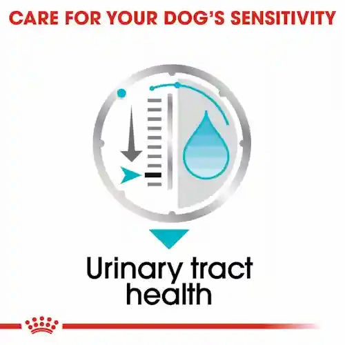 Royal Canin - Urinary Care Dog Loaf Wet Food 85g