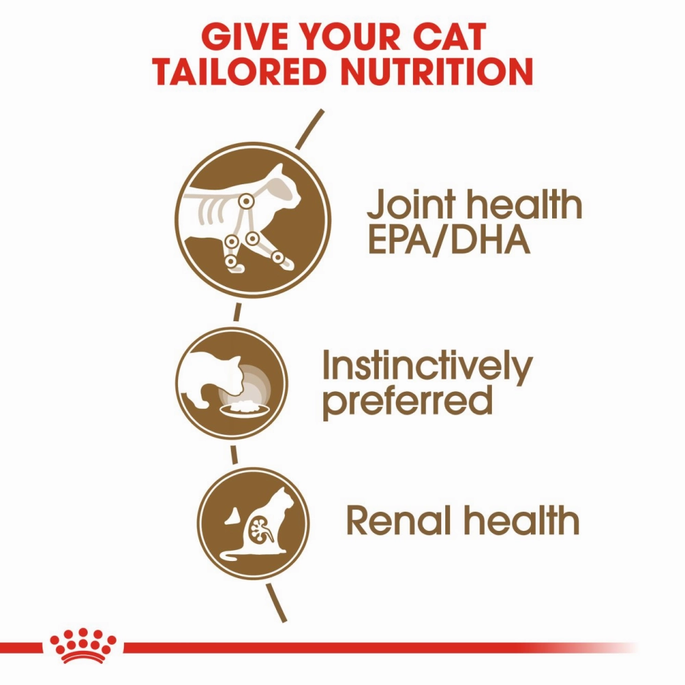 Royal Canin Ageing  12 Adult Cat Wet Food