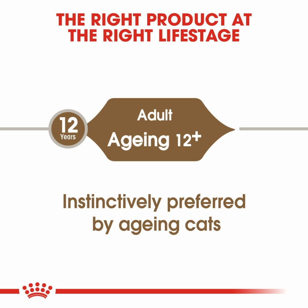 Royal Canin Ageing  12 Adult Cat Wet Food