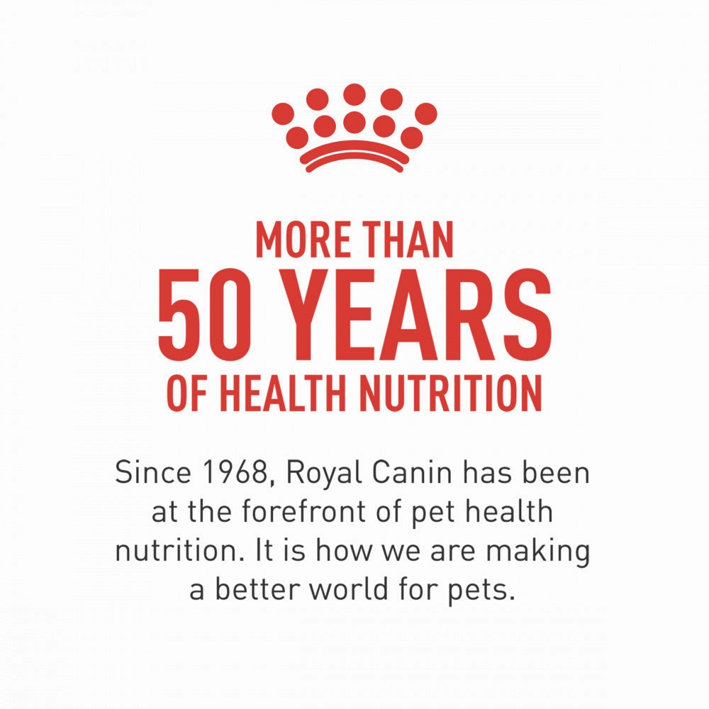 Royal Canin Breed Health Nutrition Shih Tzu Adult Dry Dog Food