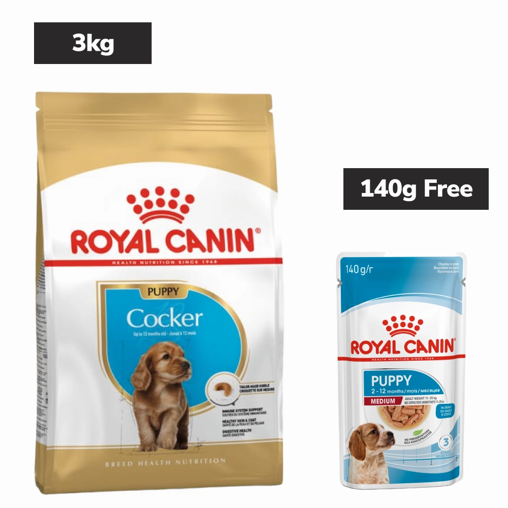 Royal Canin Cocker Spaniel Puppy Dog Dry Food