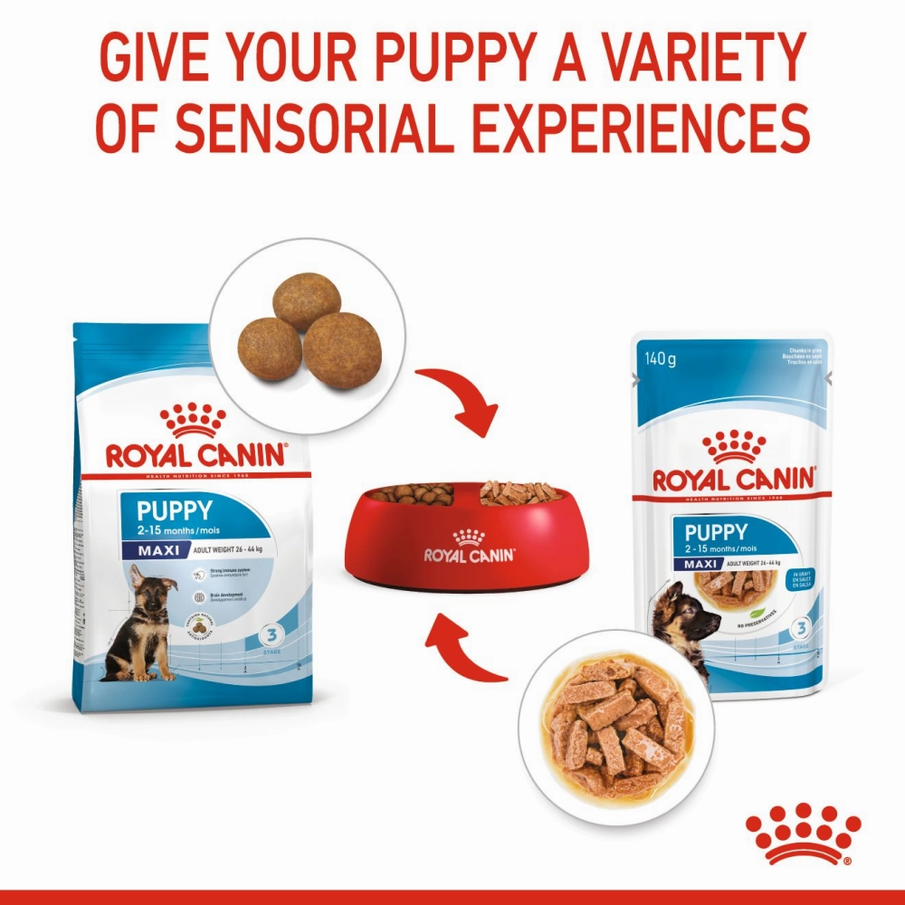 Royal Canin Giant Puppy Dry Food and Maxi Puppy Dog Wet Food Combo