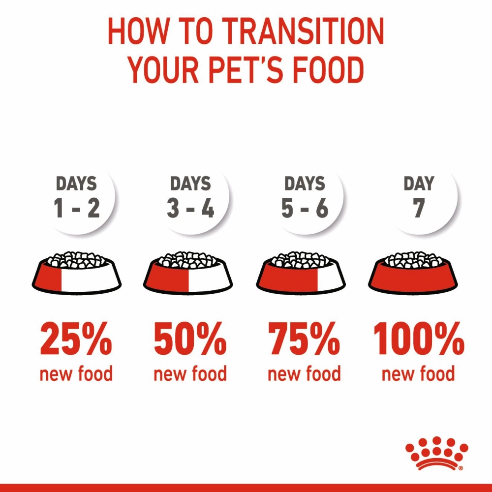 Royal Canin Giant Puppy Dry Food and Maxi Puppy Dog Wet Food Combo