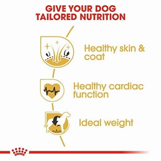 Royal Canin Golden Retriever Adult Dog Dry Food