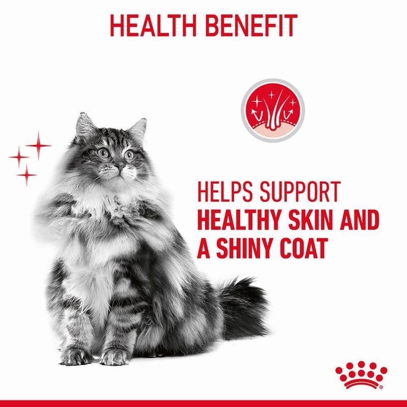 Royal Canin Hairball Care Dry Food and Hair & Skin Care Gravy Wet Adult Cat Food Combo