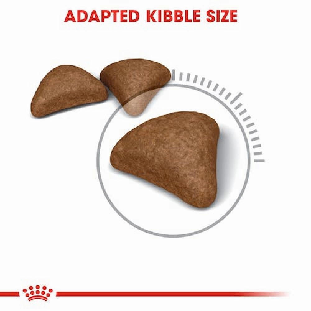 Royal Canin Hairball Care Dry Food and Urinary Care Adult Cat Dry Food Combo