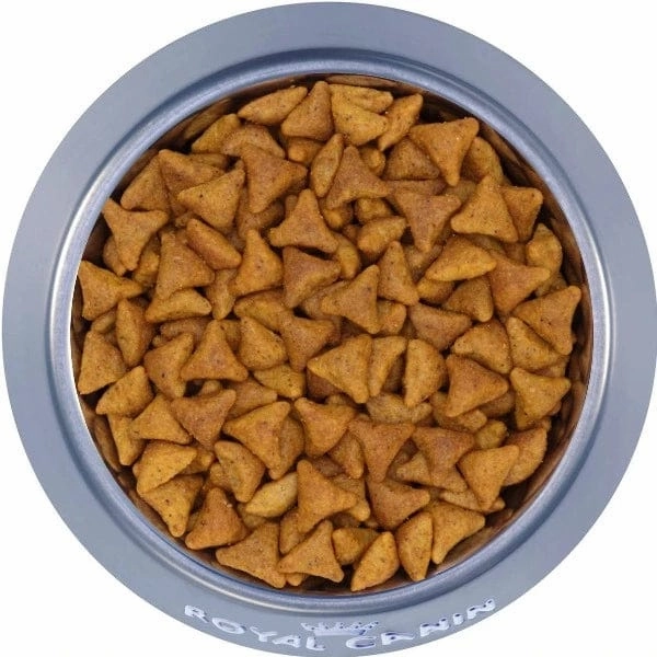 Royal Canin Indoor Adult Dry Cat Food