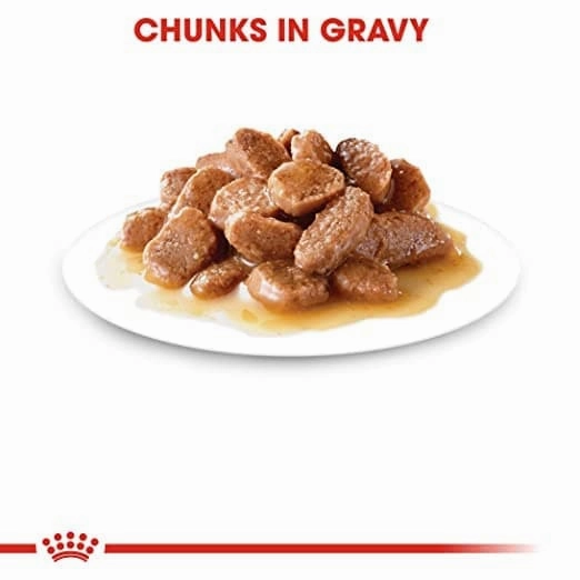 Royal Canin Instinctive and Sterilised Gravy Adult Cat Wet Food Combo