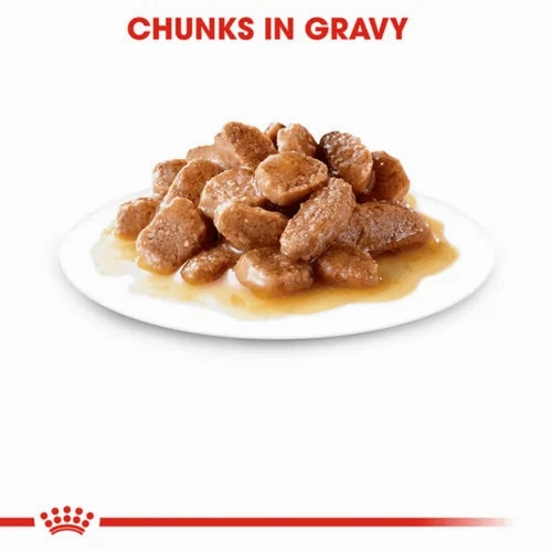 Royal Canin Instinctive and Sterilised Gravy Adult Cat Wet Food Combo